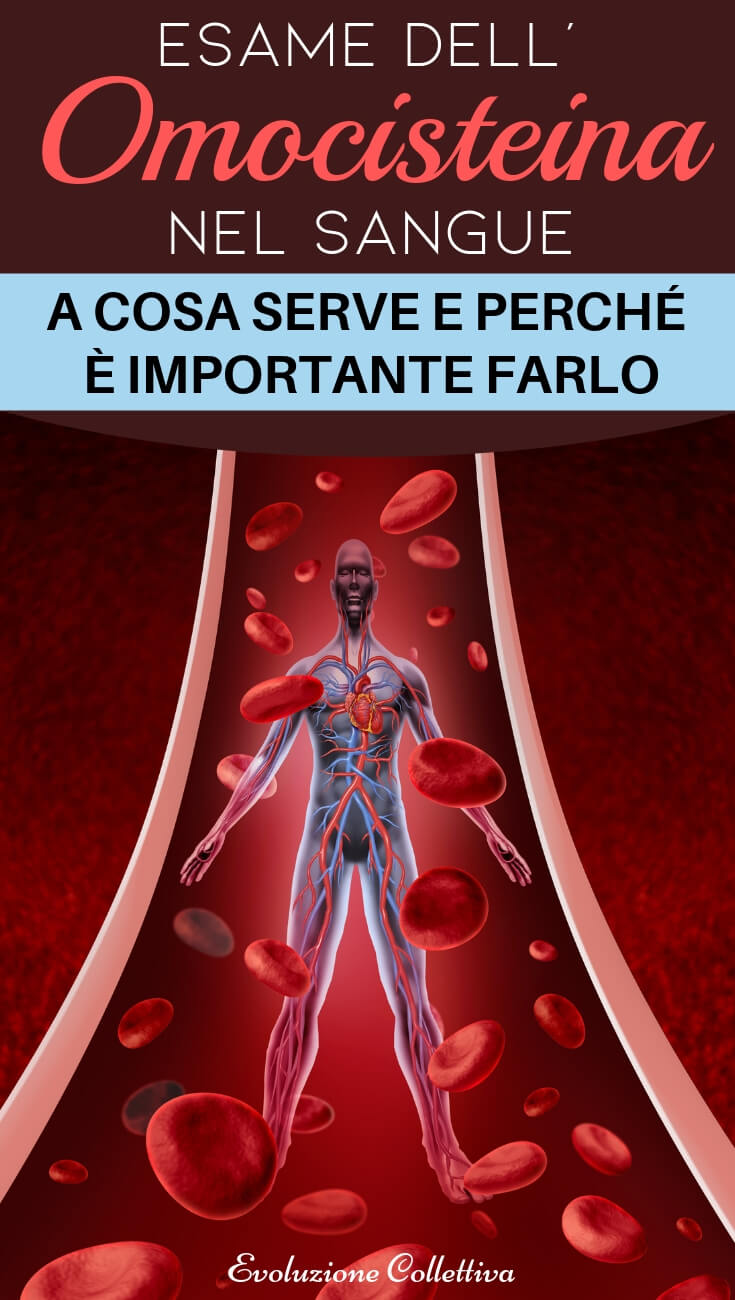 Omocisteina Cos’è e i valori di riferimento Evoluzione Collettiva
