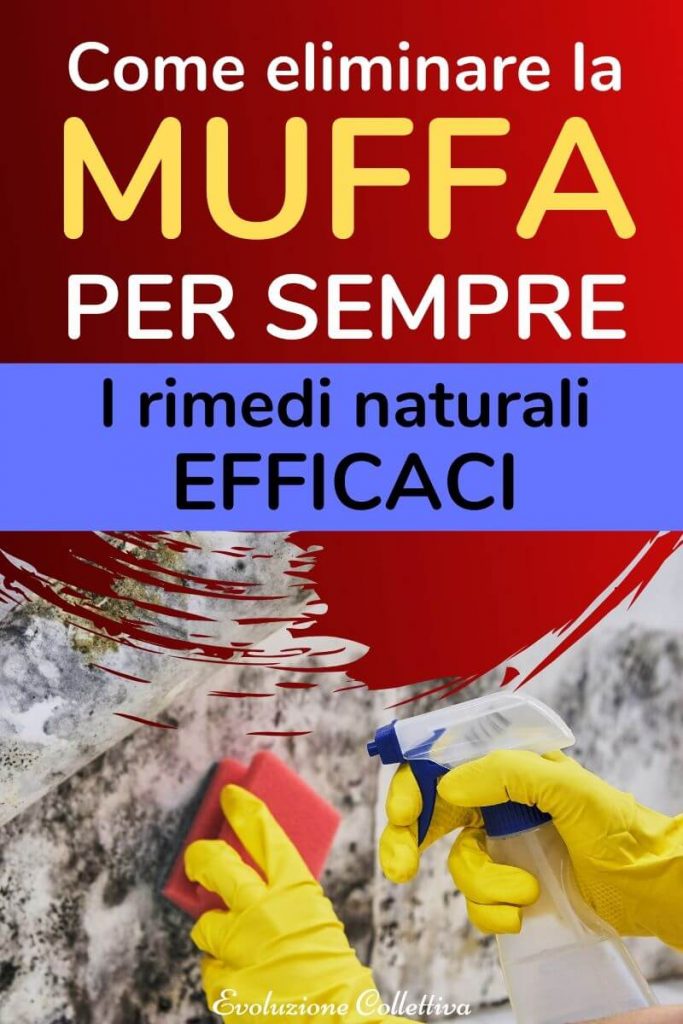 Togliere La Muffa Dai Muri Aceto E Alti Rimedi Naturali