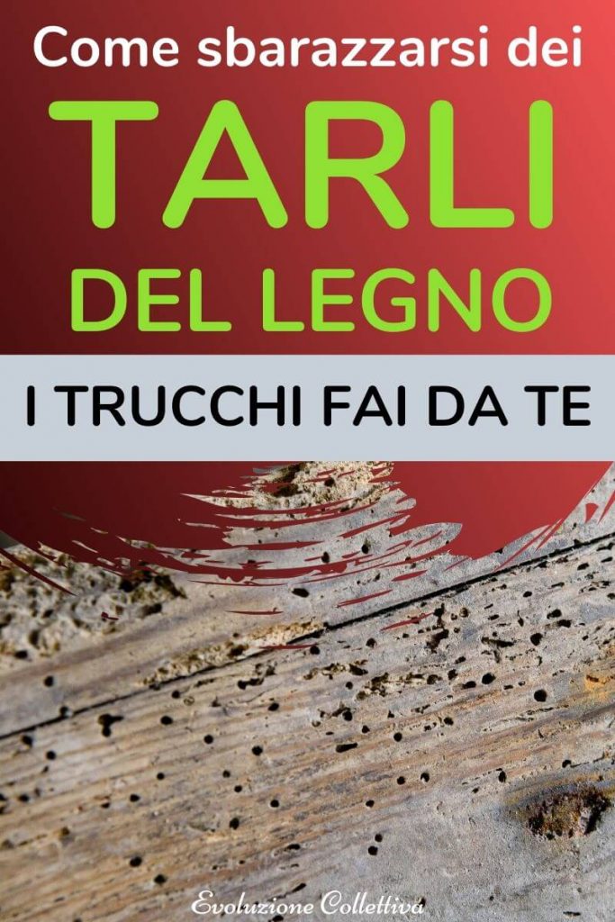 Come Eliminare I Tarli Del Legno.Tarli Del Legno Rimedi Naturali Fai Da Te Evoluzione Collettiva